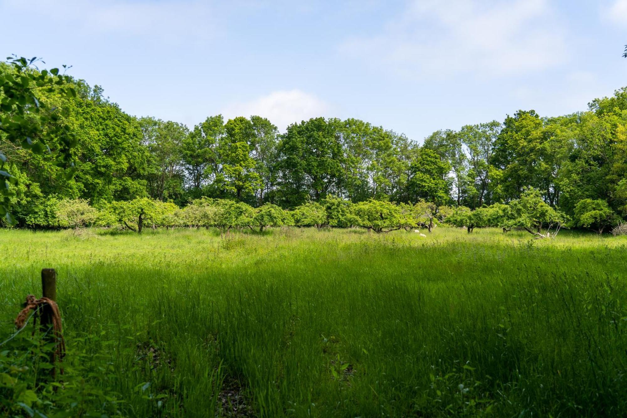 Koetshuis Buitenplaats Iepenoord オーストカペッレ エクステリア 写真